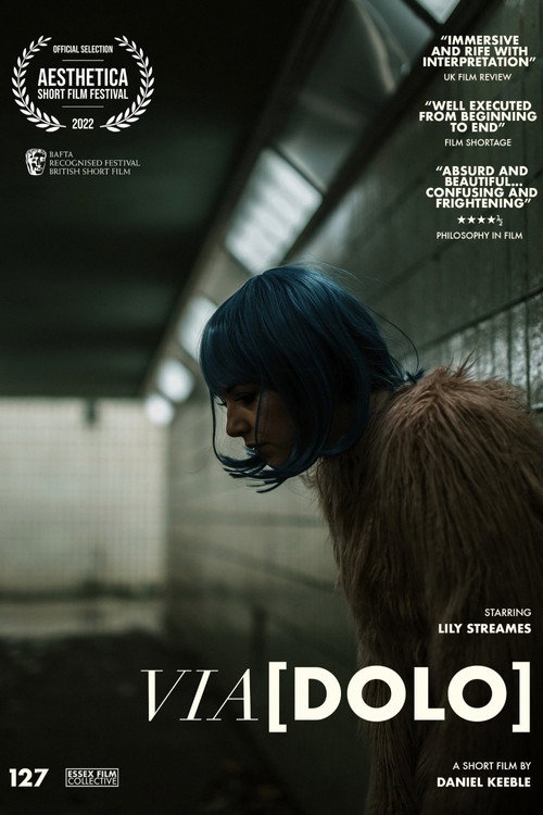 Via[Dolo] poster
