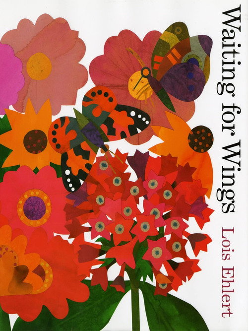 Waiting for Wings poster
