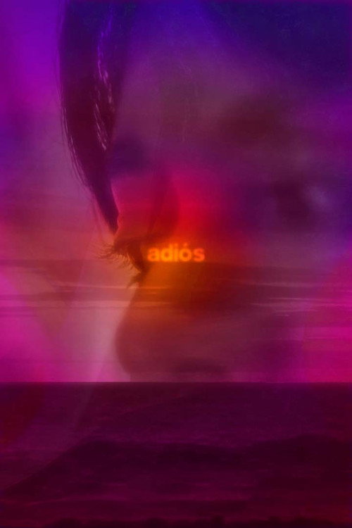 adiós poster