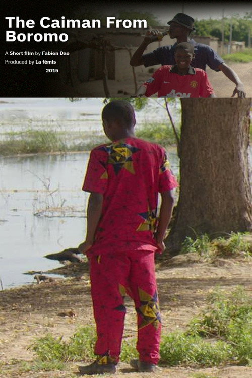 The Caiman From Boromo poster