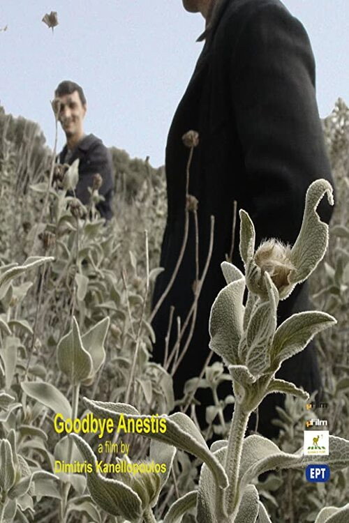 Γειά σου Ανέστη poster