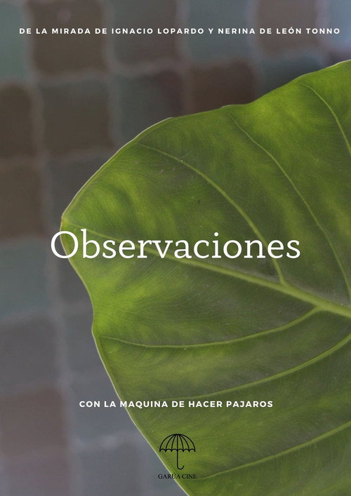 Observaciones poster