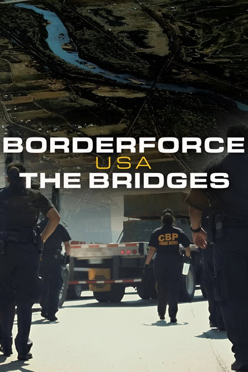Borderforce USA: The Bridges poster