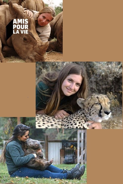 Wild Animal Reunions poster