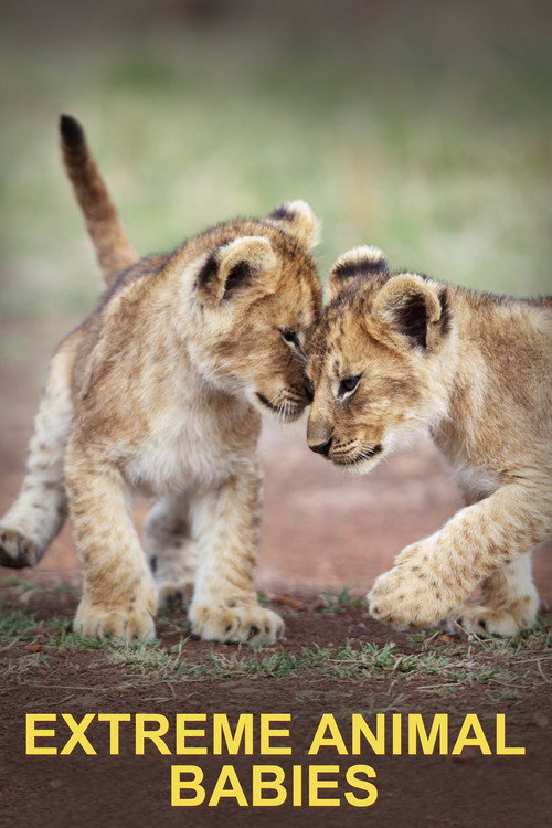 Extreme Animal Babies poster