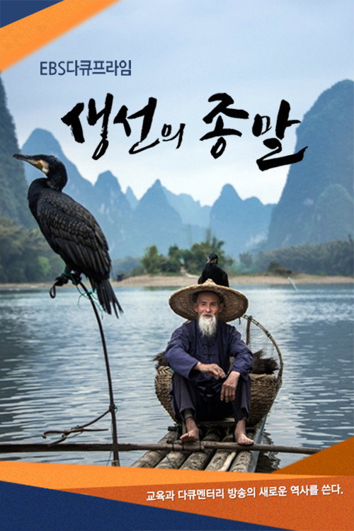 다큐프라임 - 생선의 종말 poster