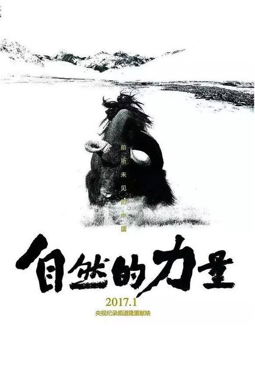 自然的力量 poster