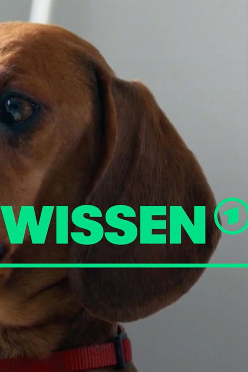 [W] wie Wissen poster