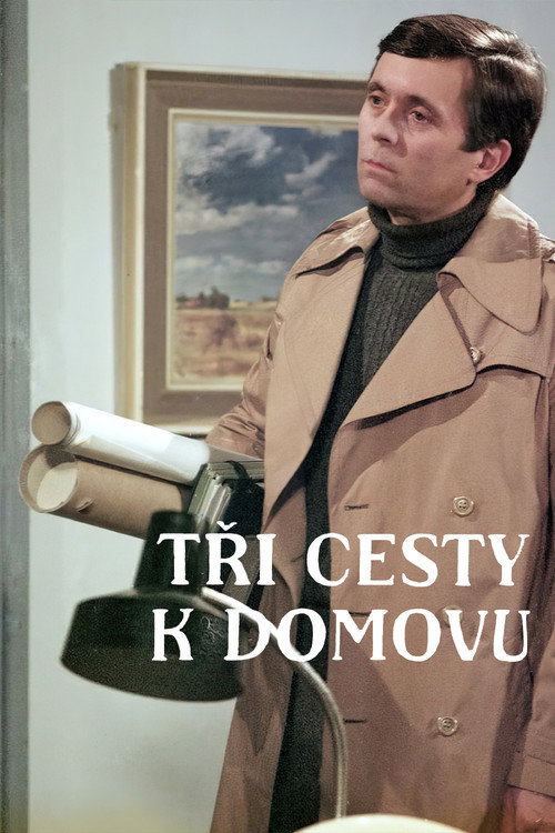 Tři cesty k domovu poster