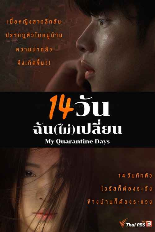 My Quarantine Days poster