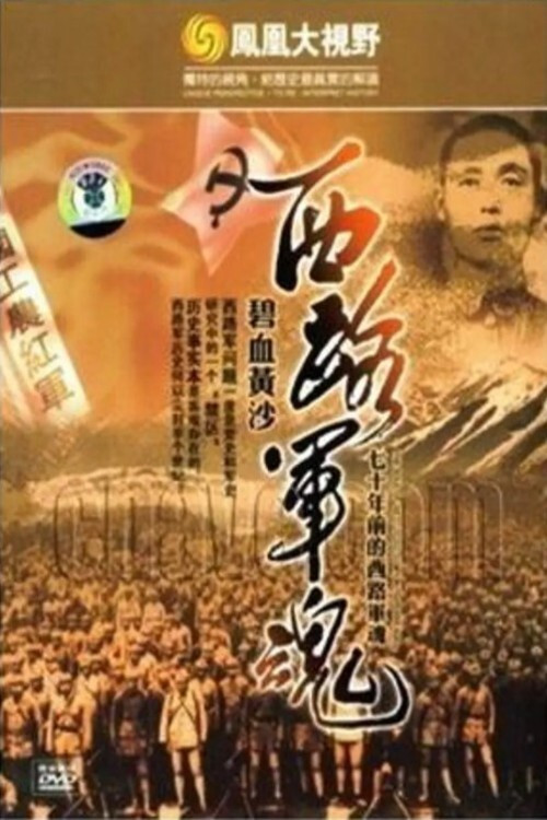 碧血黄沙:70年前的西路军魂 poster