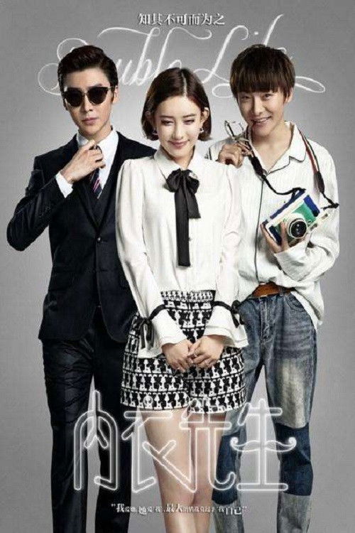 Double Life poster