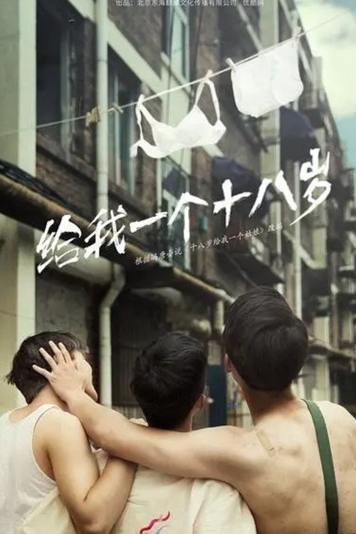 我们的十八岁 poster