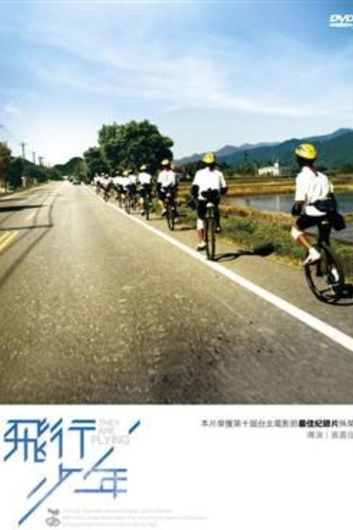 飞行少年 poster