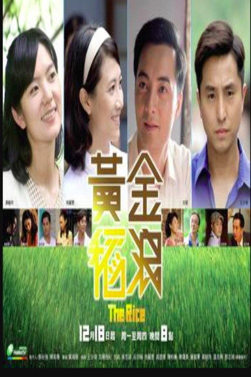 黄金稻浪 poster