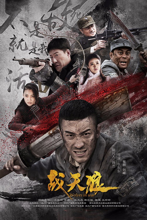 Wolves in War poster