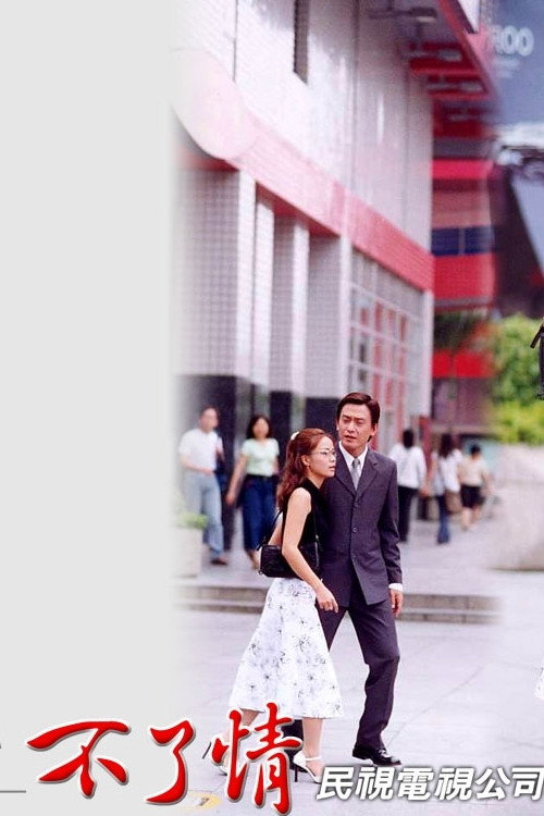 不了情 poster