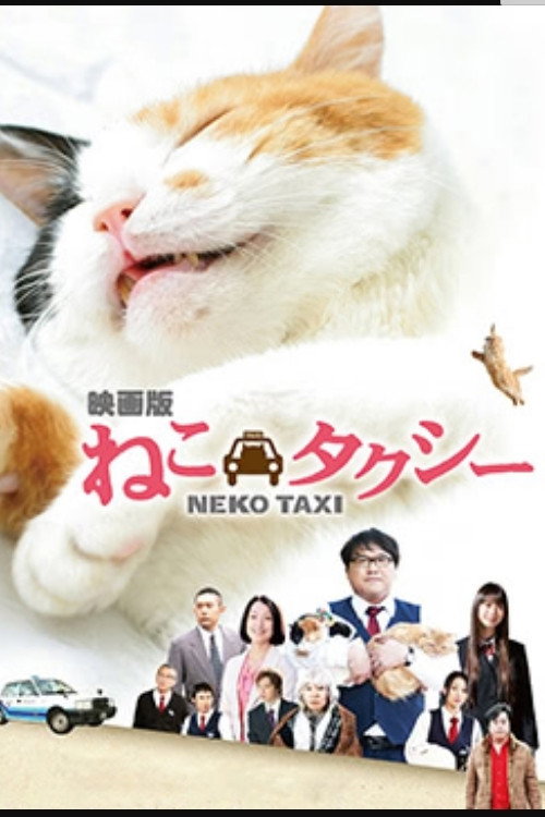 猫咪出租 poster