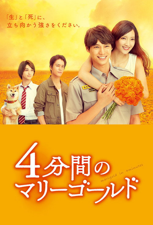 Marigold in 4 Minutes poster