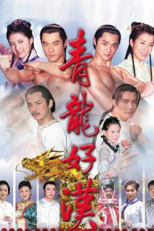 青龍好漢 poster