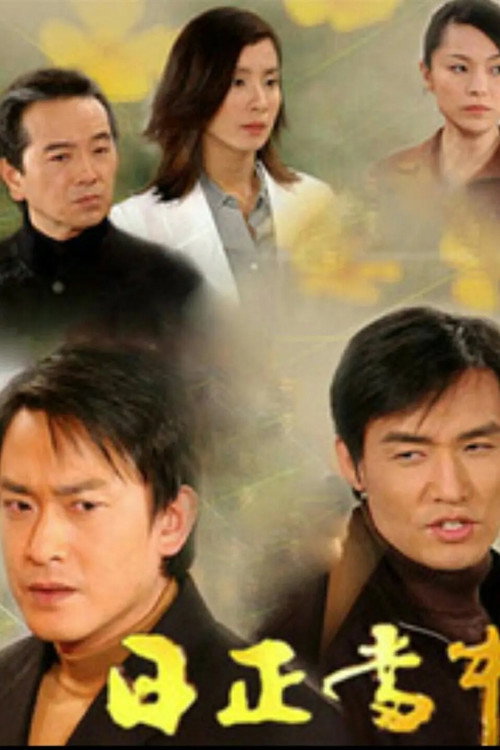 日正当中 poster