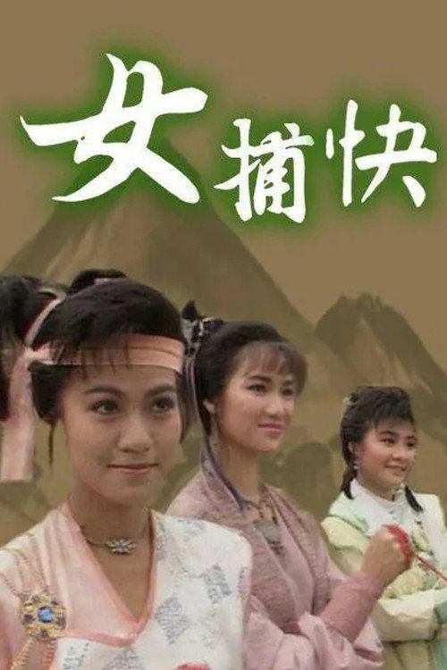 Ladies of the Law poster