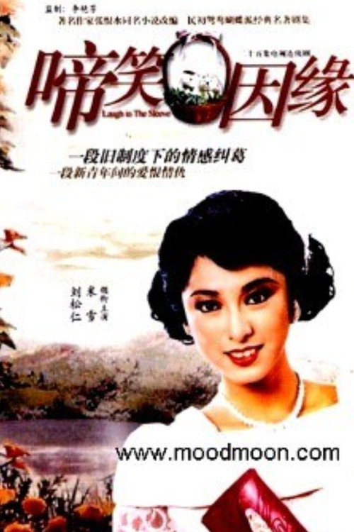 啼笑因缘 poster