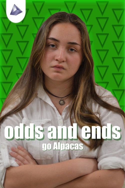 Odds & Ends poster