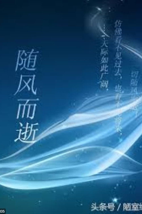 随风而逝 poster