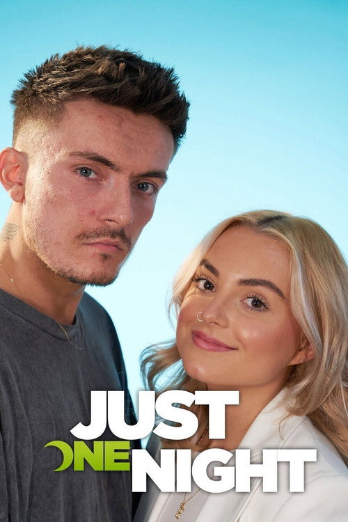 Just One Night poster