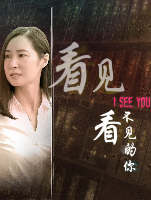 看见看不见的你 poster