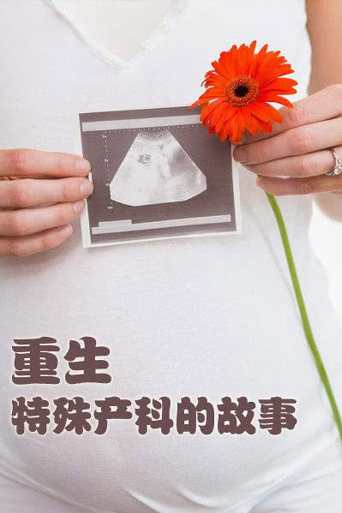 重生 特殊产科的故事 poster