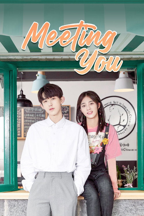 Meeting You poster