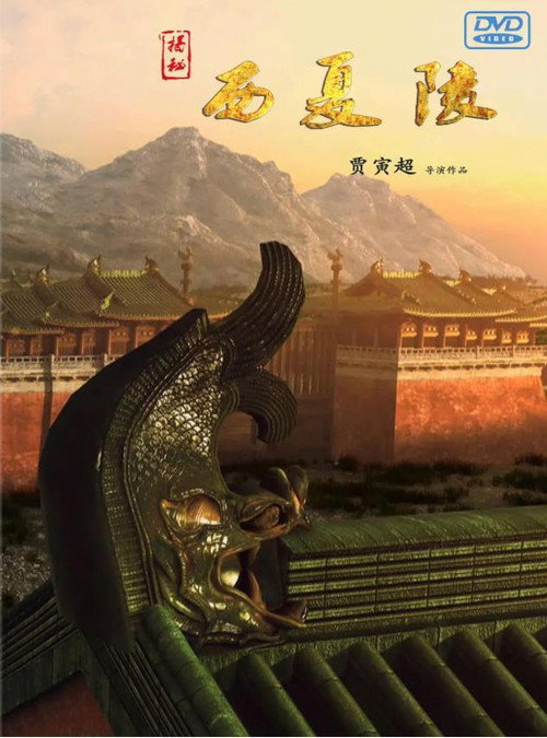 揭秘西夏陵 poster