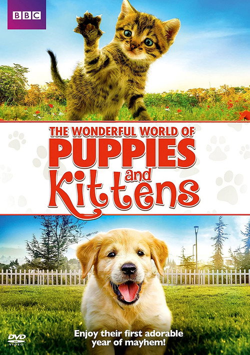 The Wonderful World of Puppies and Kittens poster