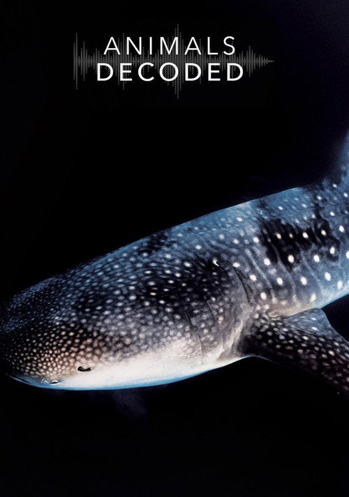 Animals Decoded poster