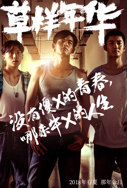 草样年华 poster