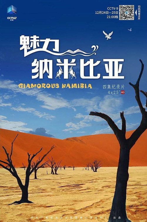 魅力纳米比亚 poster