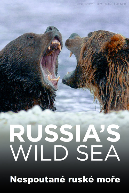 Universum: Russlands wildes Meer poster