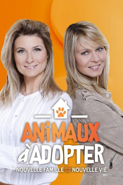 Animaux à adopter : Nouvelle famille pour une nouvelle vie poster
