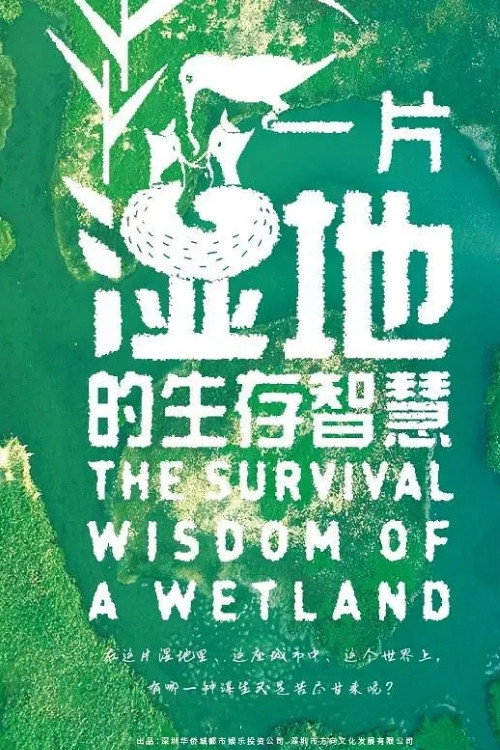 深圳自然笔记 poster