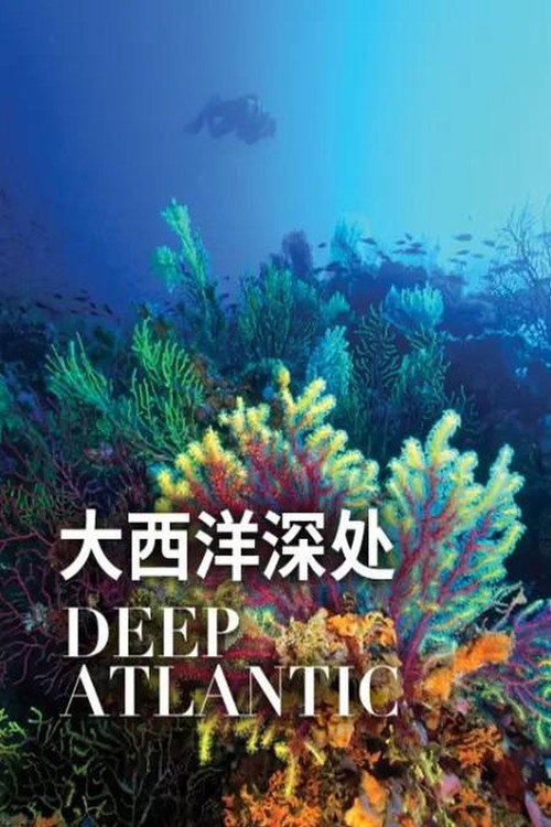 Deep Atlantic poster