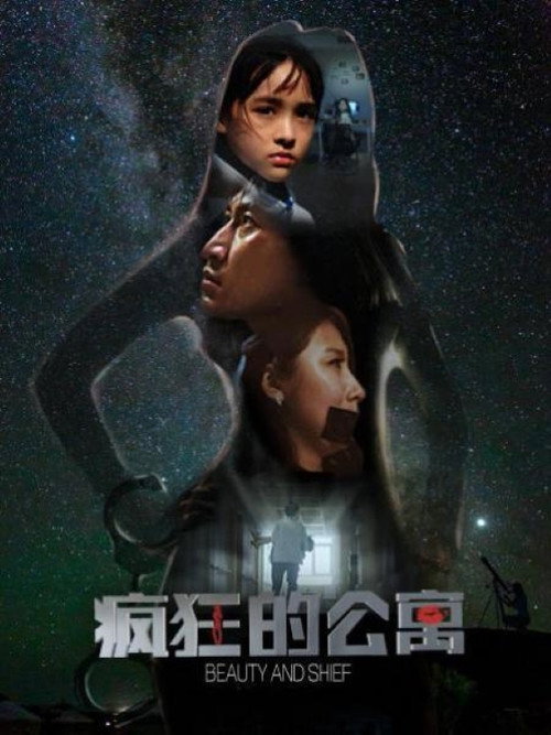 疯狂的公寓 poster