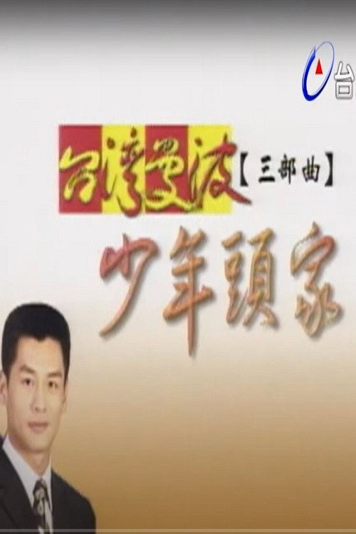 台湾曼波之少年头家 poster
