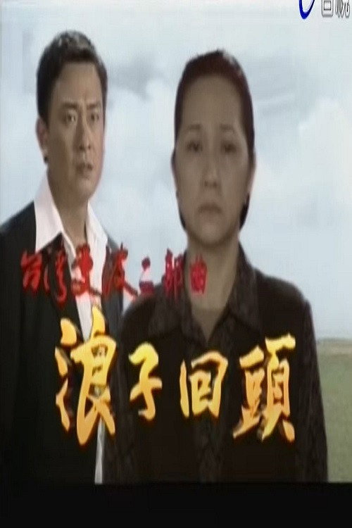 台湾曼波之浪子回头 poster