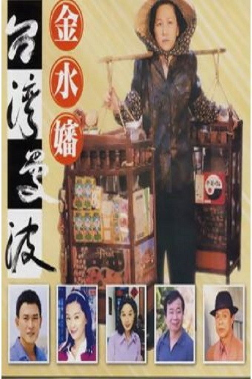 台湾曼波之金水婶 poster
