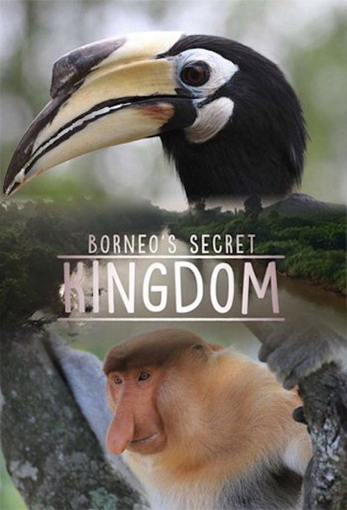 Borneo's Secret Kingdom poster