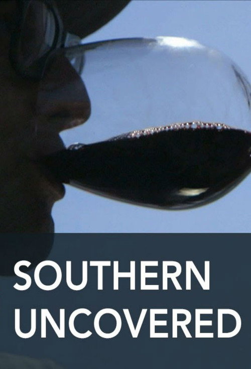 Southern Uncovered with the Lee Brothers poster