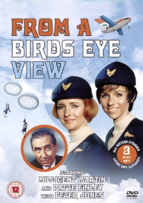 From a Bird's Eye View poster