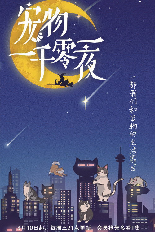 宠物一千零一夜 poster